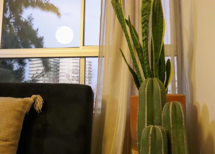 Homestay Habitacion En Centro De Cdmx *